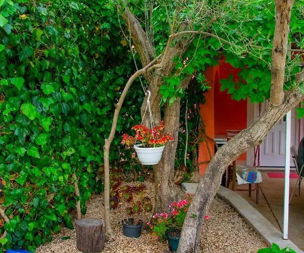 Tony - 2bdr Beachfront 야드리야